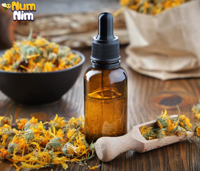 Calendula Marigold