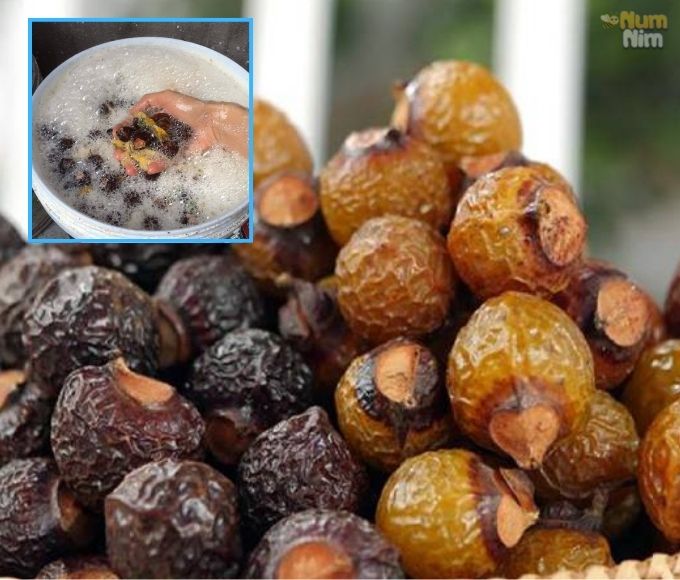 Cách Làm Nước Giặt Từ Quả Bồ Hòn