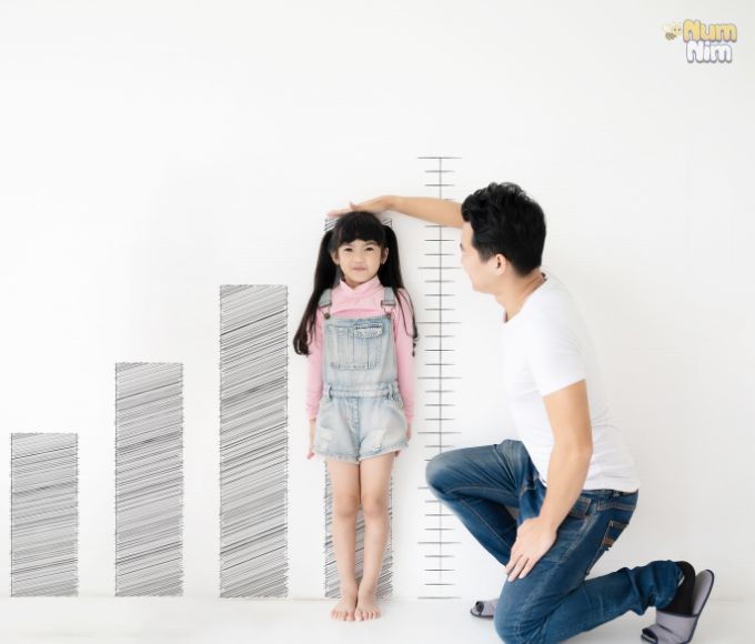 Chiều Cao Cân Nặng Bé Gái