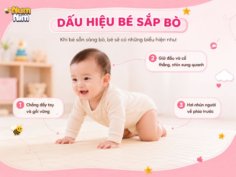 Trẻ mấy tháng biết bò và những dấu hiệu bé sắp bò Mẹ cần chú ý