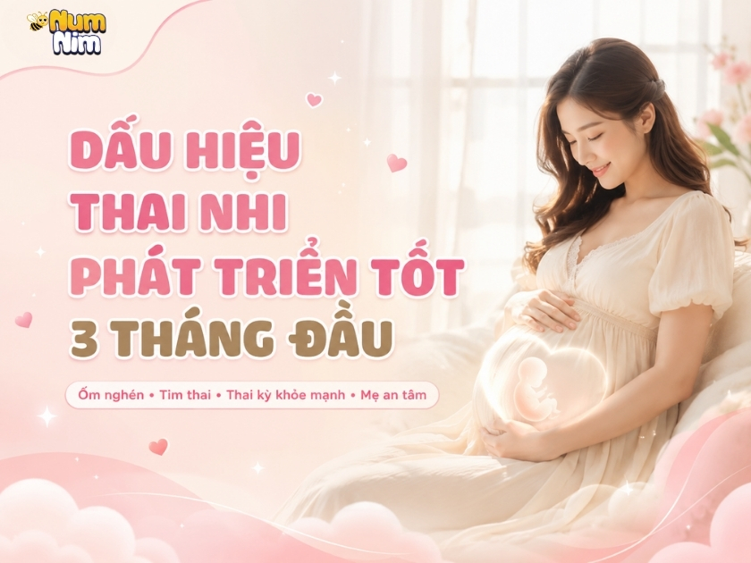 Dấu hiệu thai nhi phát triển tốt 3 tháng đầu mang lại sự an tâm cho Mẹ bầu