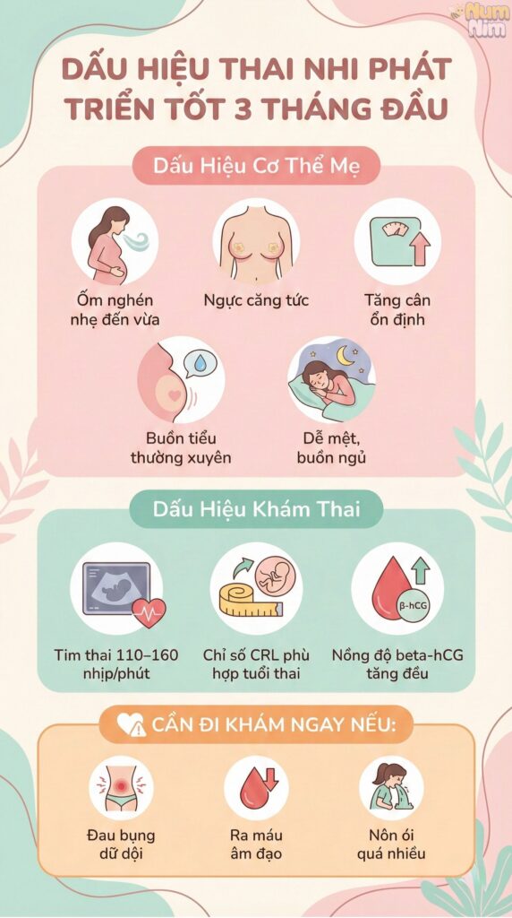 Dấu hiệu thai nhi phát triển tốt 3 tháng đầu mẹ nên biết